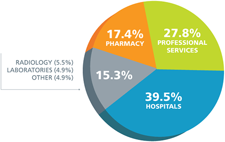 Pie chart of major healthcare cost drivers