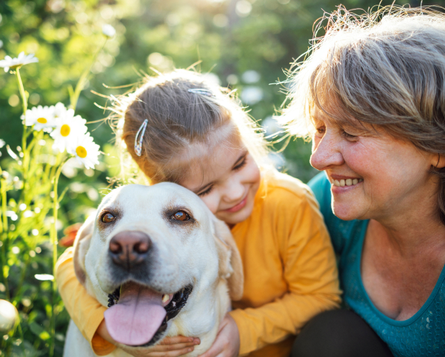 Grandmother and granddaughter playing with dog